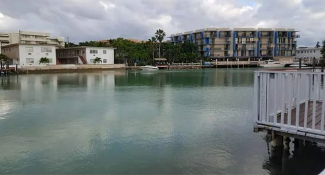 8141 Crespi Blvd, Unit 2 in Miami Beach, FL - Building Photo