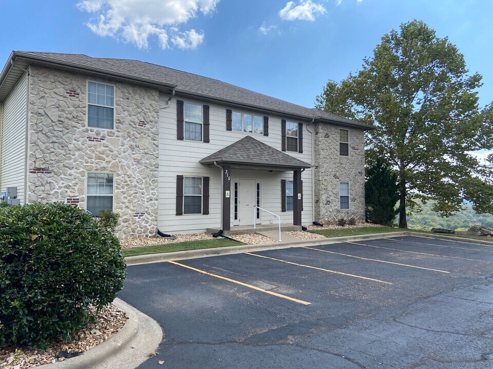 315 Toni Ln in Branson, MO - Building Photo