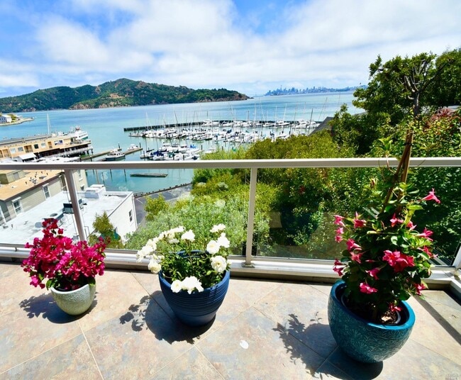 73 Eastview Ave in Tiburon, CA - Building Photo - Building Photo