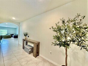 30807 Penny Surf Lp in Wesley Chapel, FL - Building Photo - Building Photo