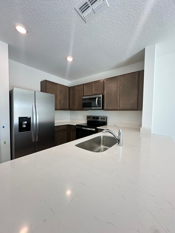 31206 Midnight Sun Wy in Wesley Chapel, FL - Foto de edificio - Building Photo