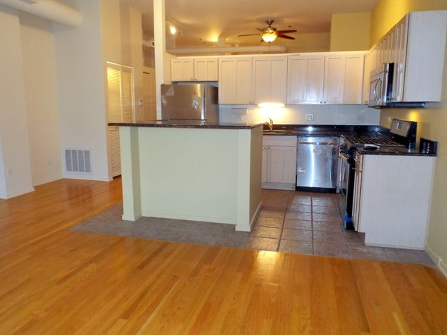 1000 E 53rd St, Unit 211 in Chicago, IL - Building Photo - Building Photo