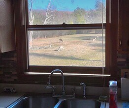 134 Church Cross Rd in Bell Buckle, TN - Building Photo - Building Photo