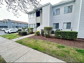 526 Pheasant Run in Virginia Beach, VA - Building Photo - Building Photo