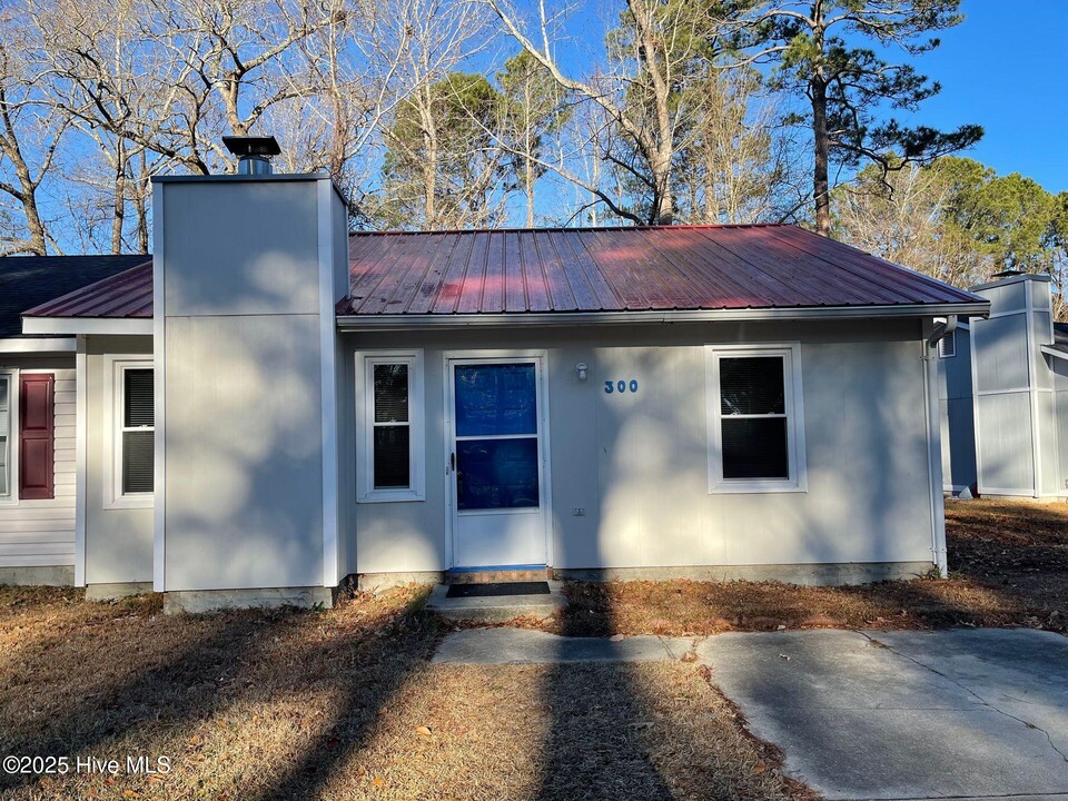 300 Cedar Crk Dr in Jacksonville, NC - Building Photo