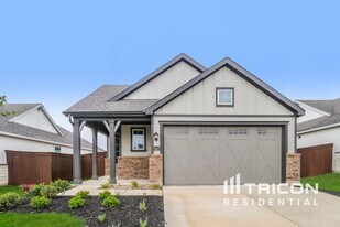 1613 Mexican Heather Dr in Leander, TX - Building Photo