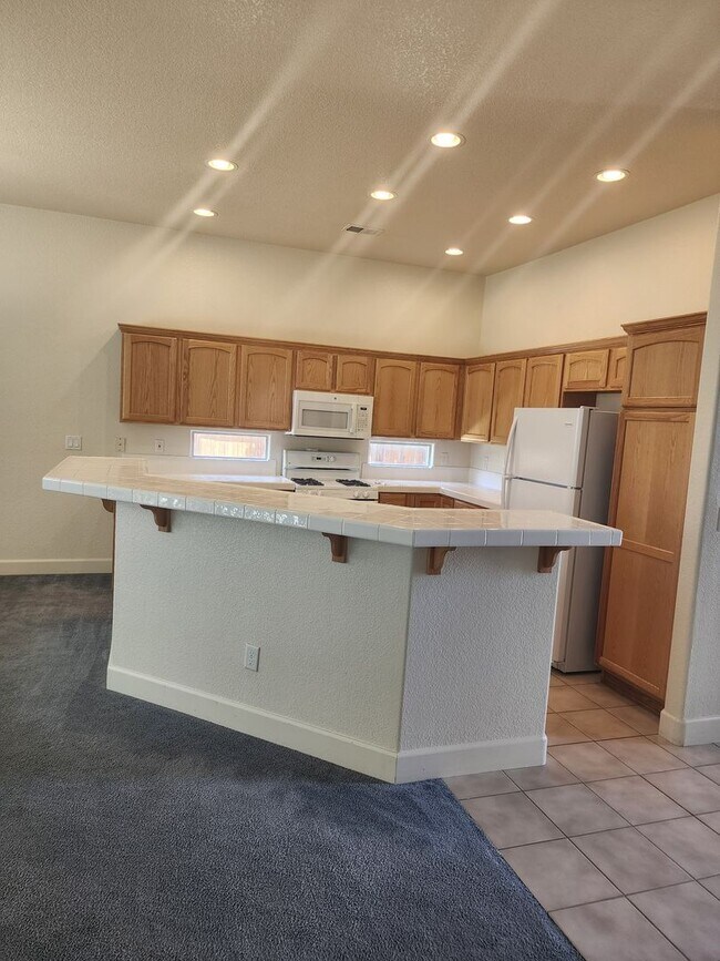 419 La Costa Cir in Dayton, NV - Foto de edificio - Building Photo