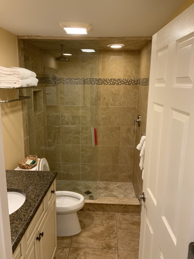 5700 Saddlebrook Way, Unit 3181 in Wesley Chapel, FL - Building Photo - Building Photo