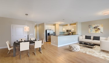 Axiom Apartments in Cambridge, MA - Building Photo - Building Photo