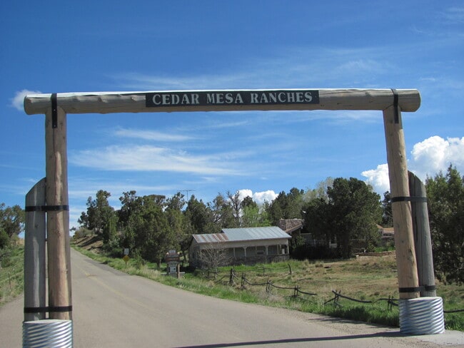 35498 Rd K.1 in Mancos, CO - Building Photo - Building Photo