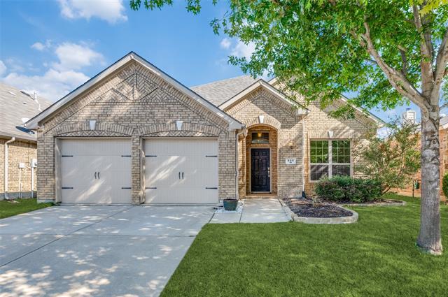 909 Green Coral Dr in Little Elm, TX - Building Photo