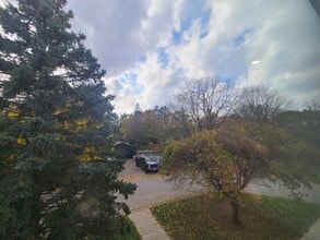 207 Moore St in Cambridge, ON - Building Photo - Building Photo