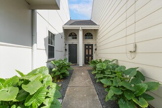 897 Knox St in Houston, TX - Building Photo - Building Photo