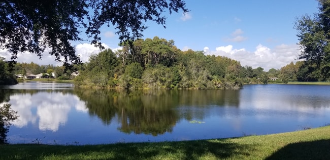 property at 13504 White Elk Loop