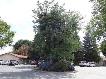 1460 Eastwood Ave in Manteca, CA - Foto de edificio