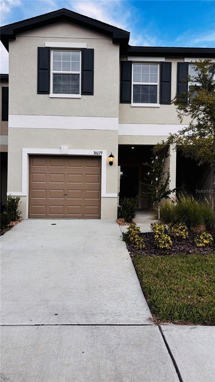 36079 Risa Michele St in Zephyrhills, FL - Building Photo - Building Photo