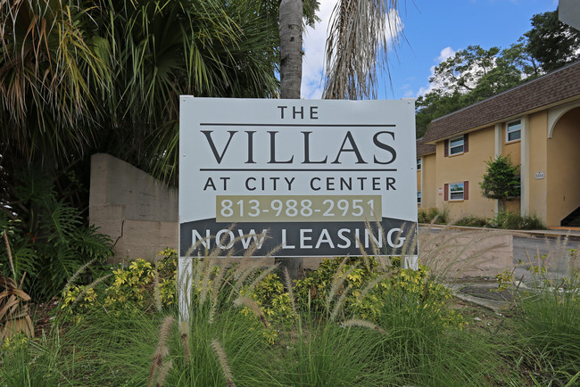 Villas at City Center in Temple Terrace, FL - Building Photo - Building Photo