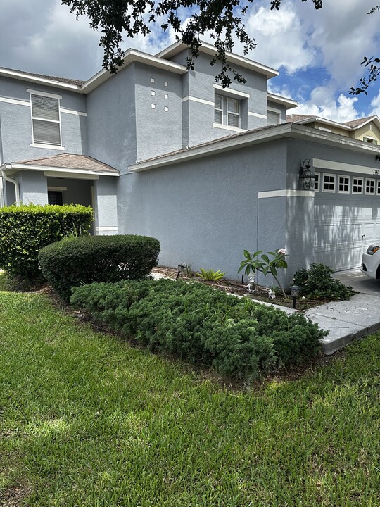 3341 Lintower Dr in Land O Lakes, FL - Foto de edificio