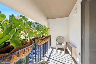 800 Avondale Rd in Wallingford, PA - Building Photo - Building Photo