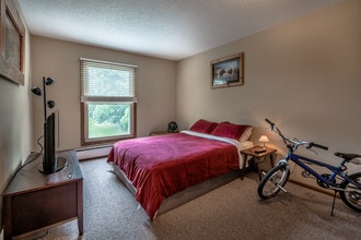 941 11th Ave S in Hopkins, MN - Building Photo - Building Photo