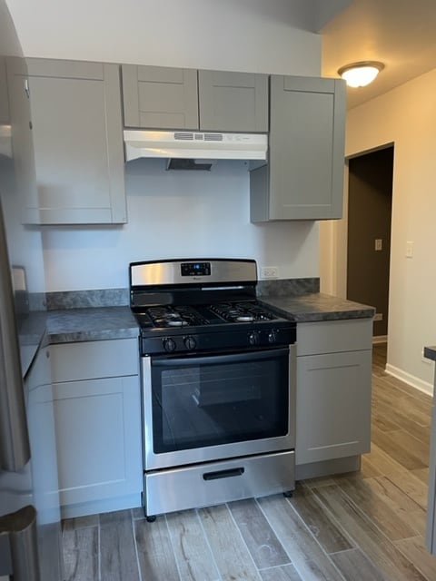 1527 W 18th St, Unit 2 in Chicago, IL - Building Photo - Building Photo