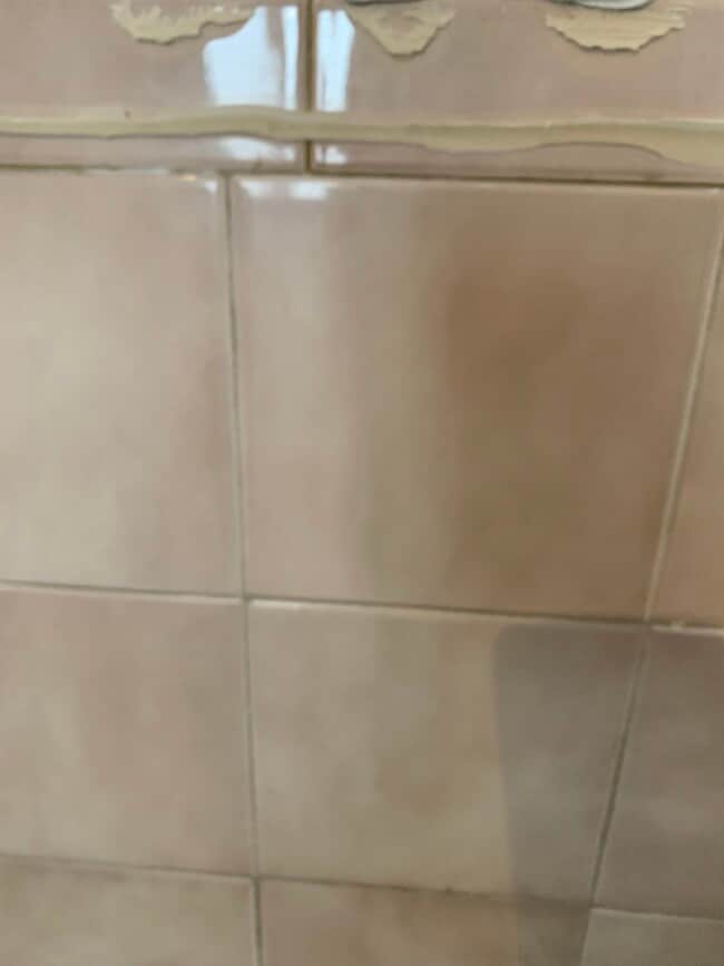 39 Mount Vernon Ave, Unit Lower