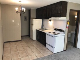 315 Hoyt Ave E in St. Paul, MN - Building Photo