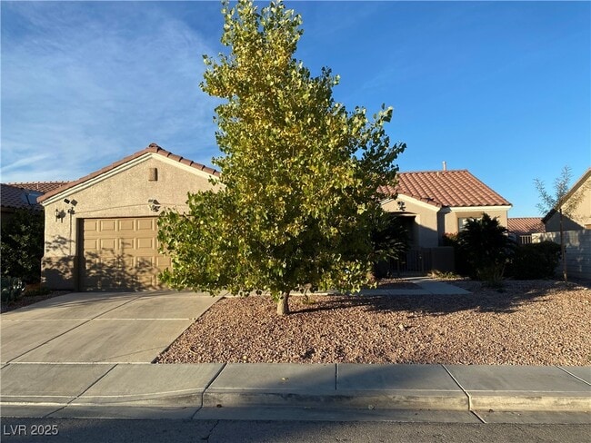 556 Green Gables Ave in Las Vegas, NV - Foto de edificio - Building Photo