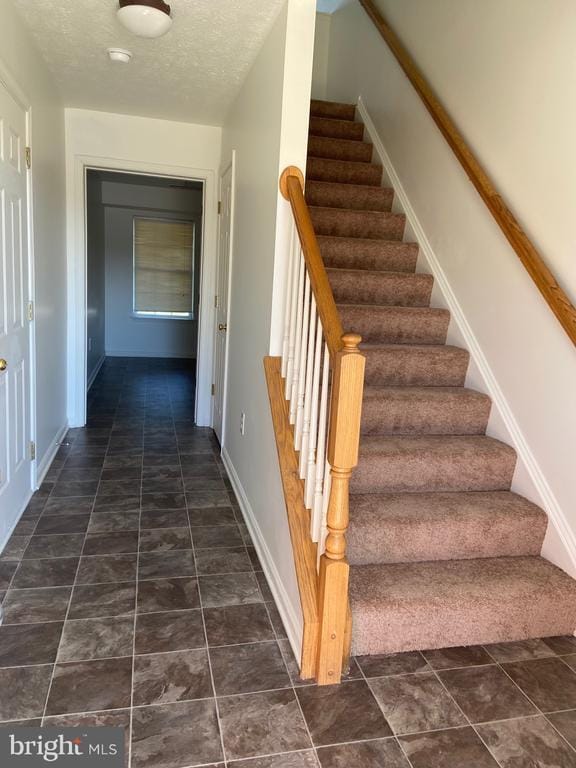127 Lighthouse Ln in Winchester, VA - Foto de edificio - Building Photo