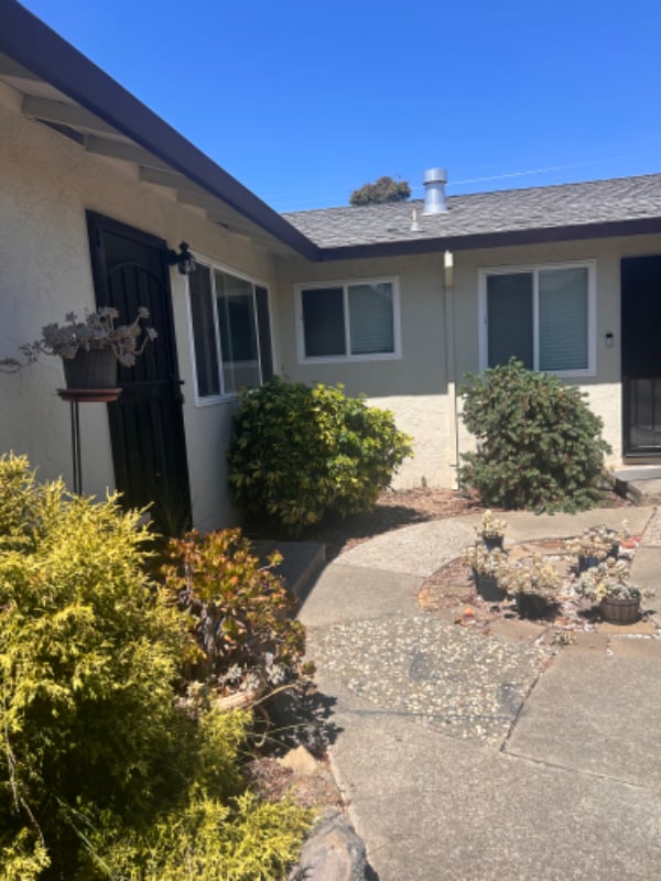 2031 Willester Ave in San Jose, CA - Building Photo - Building Photo