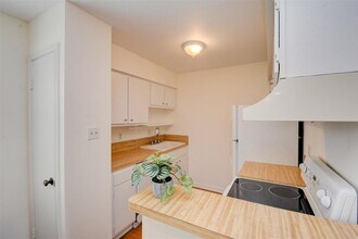 5550 N Braeswood Blvd, Unit 137 in Houston, TX - Building Photo - Building Photo