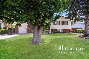 7365 Herbert Ct in Colorado Springs, CO - Building Photo