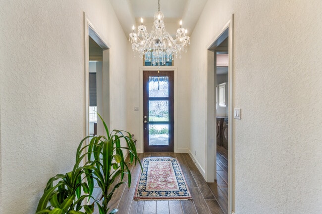 24502 Emilia Way in San Antonio, TX - Building Photo - Building Photo