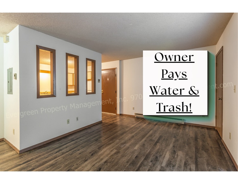 348 Terri Dr in Loveland, CO - Building Photo