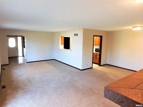 1013 E Jackson St in Morton, IL - Building Photo - Building Photo