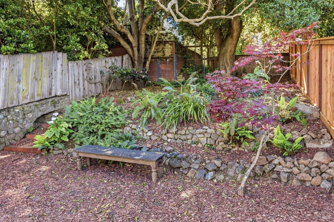 31 Acacia Ave in Belvedere, CA - Building Photo