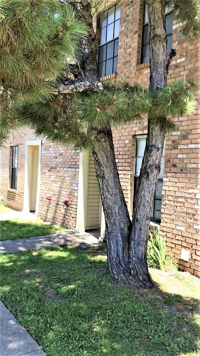 property at 117 S Las Vegas Trl