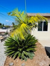 1222 Holly St in Oceanside, CA - Building Photo - Building Photo