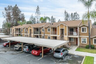 920 N Palmetto Ave in Ontario, CA - Building Photo - Building Photo