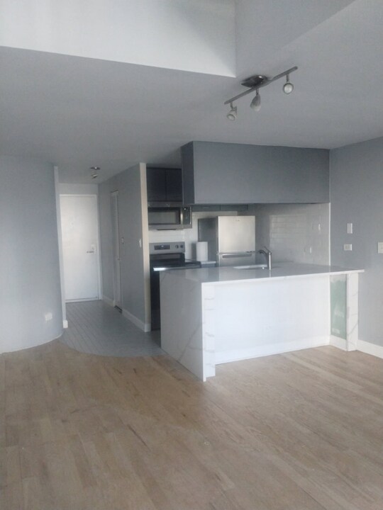 1221 N Dearborn St in Chicago, IL - Building Photo