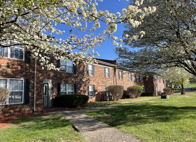 Countrybrook Apartments in Louisville, KY - Building Photo - Building Photo