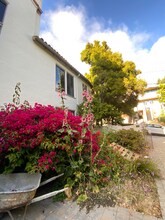 1701 Le Roy Ave in Berkeley, CA - Building Photo - Building Photo