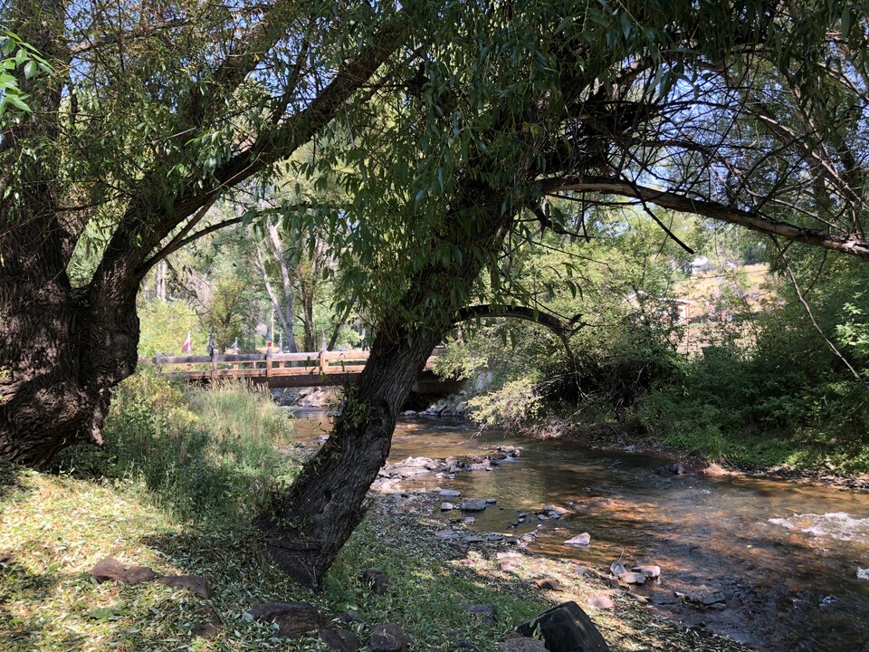 21524 Shady Ln in Idledale, CO - Building Photo