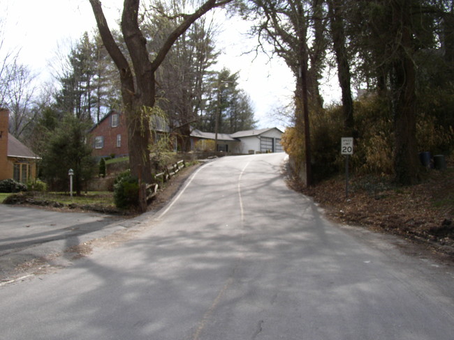 Park Street Apartments in Boone, NC - Building Photo - Building Photo