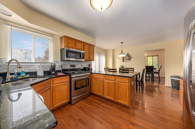 2484 Warm Springs Ln in Naperville, IL - Building Photo - Building Photo