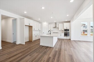 1131 Joseph Pl in Erie, CO - Building Photo - Building Photo