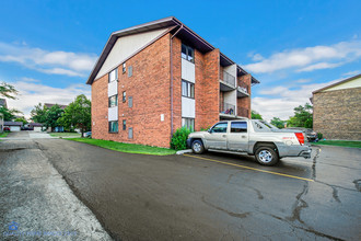 9941 Shady Ln in Orland Park, IL - Foto de edificio - Building Photo