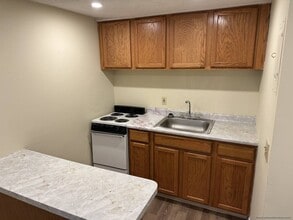 177 Thorndike St, Unit 1 in Brookline, MA - Foto de edificio - Building Photo