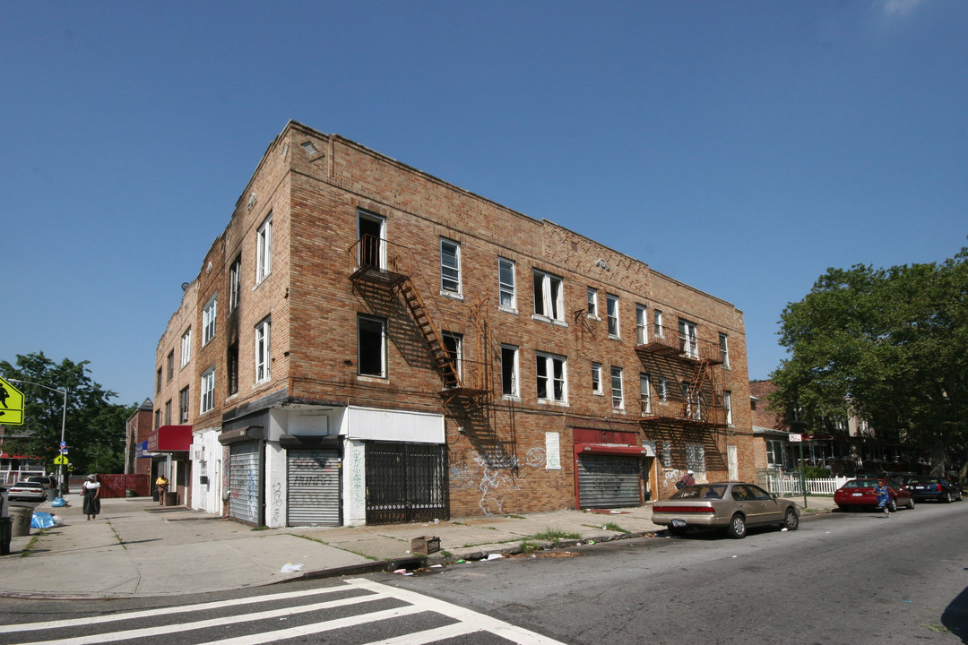 1001 Clarkson Ave in Brooklyn, NY - Building Photo