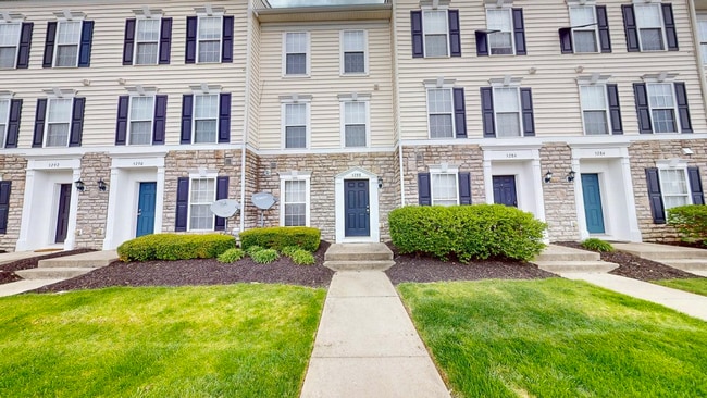 5288 Royal Arch Cascade Dr in Dublin, OH - Building Photo - Building Photo